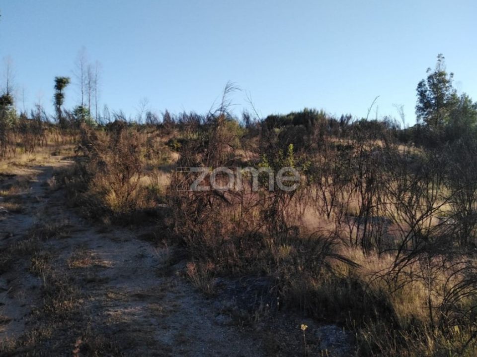 Helårsgrund i Sameice e Santa Eulalia, Guarda - foto 3