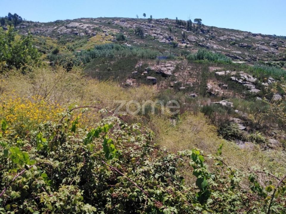 Helårsgrund i Lagares da Beira, Coimbra - foto 4