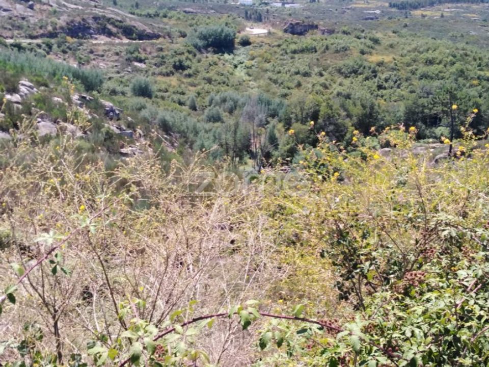 Helårsgrund i Lagares da Beira, Coimbra - foto 5