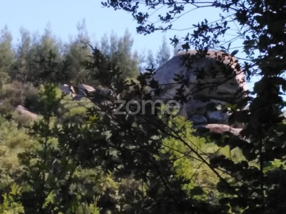 Helårsgrund i Sameice e Santa Eulalia, Guarda - foto 4