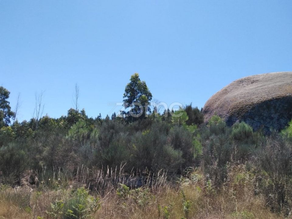 Helårsgrund i Lagares da Beira, Coimbra - foto 5