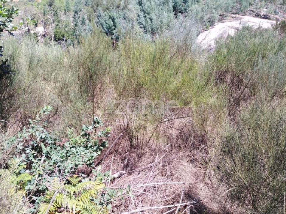 Helårsgrund i Lagares da Beira, Coimbra - foto 3