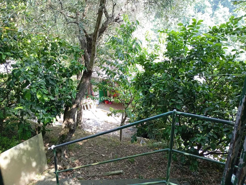 Villa a Rapallo, Genoa - foto 1