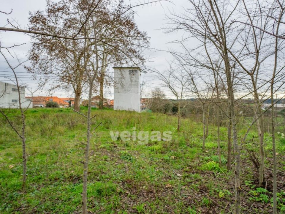 Helårsgrund i Alcanena, Santarem - foto 2