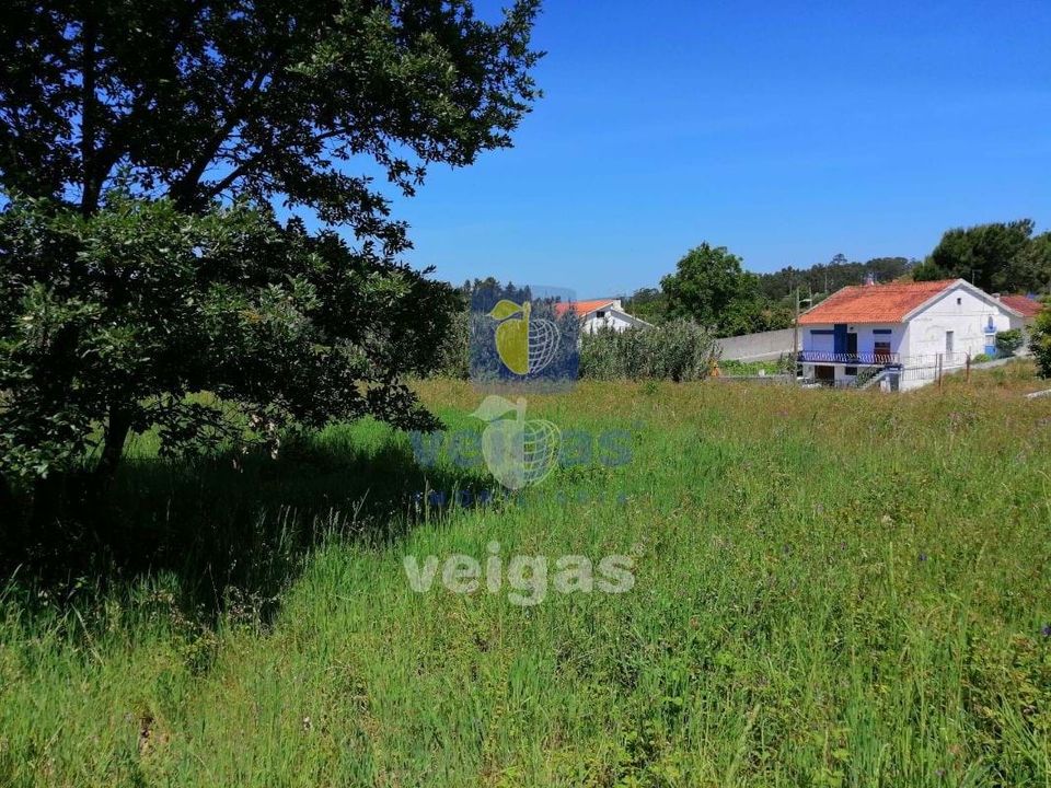 Helårsgrund i Batalha, Leiria - foto 4