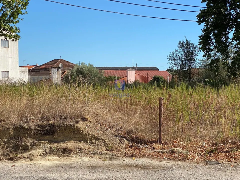 Land in Alcanena, Santarem - photo 1