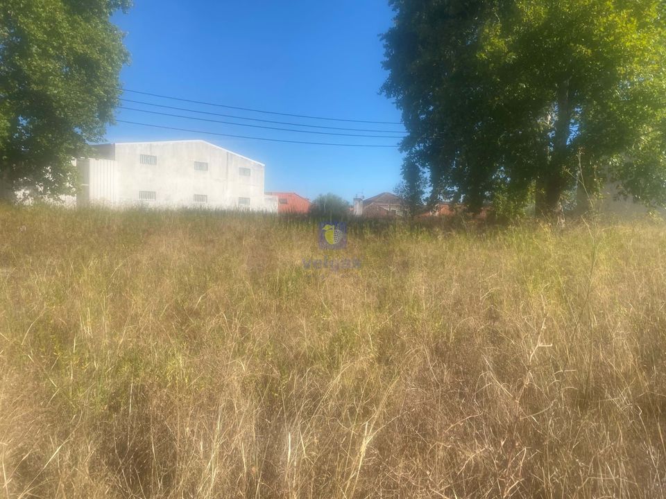 Land in Alcanena, Santarem - photo 2