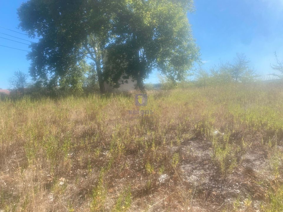 Land in Alcanena, Santarem - photo 3