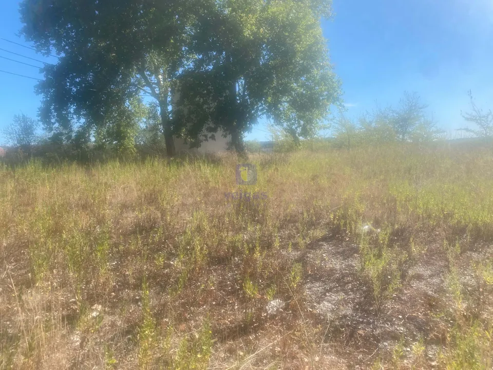 Land in Alcanena, Santarem - photo 4