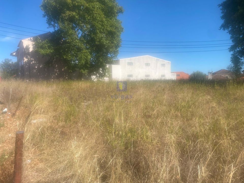 Land in Alcanena, Santarem - photo 5