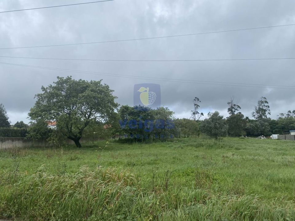 Helårsgrund i Alcobaca, Leiria - foto 5
