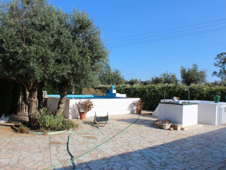 Farm i Estremoz, Evora - foto 4