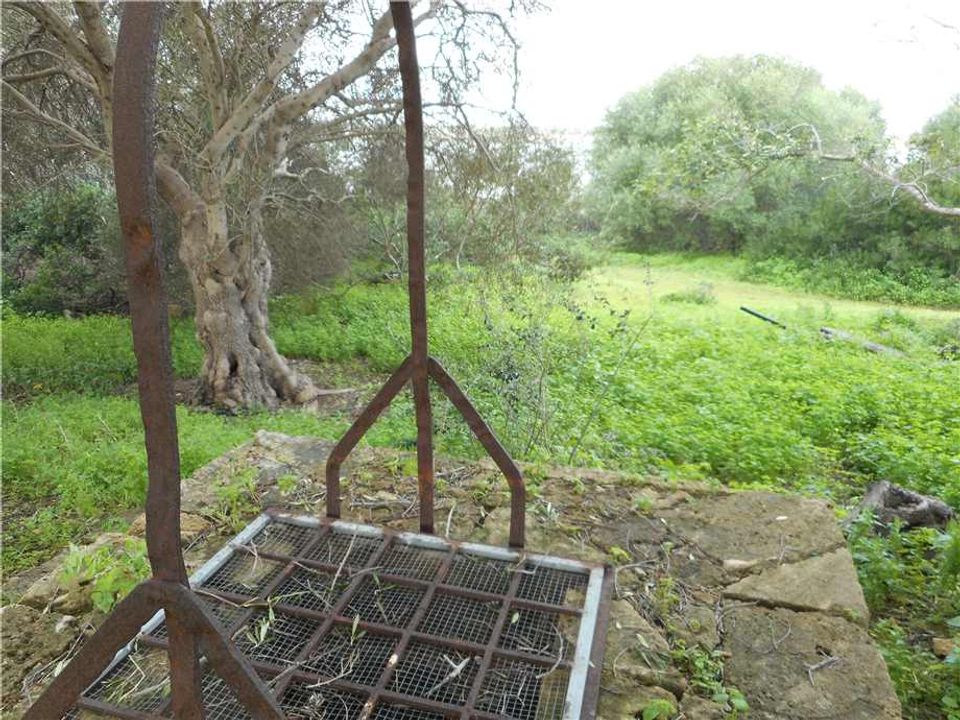 Landhuis in Noto, Siracusa - foto 3