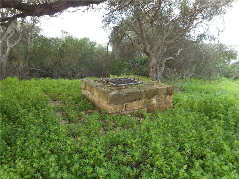 Landhuis in Noto, Siracusa - foto 4