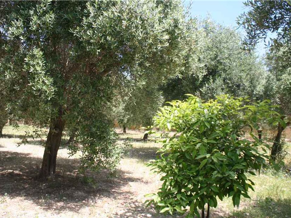 Lejlighed i Noto, Siracusa - foto 3
