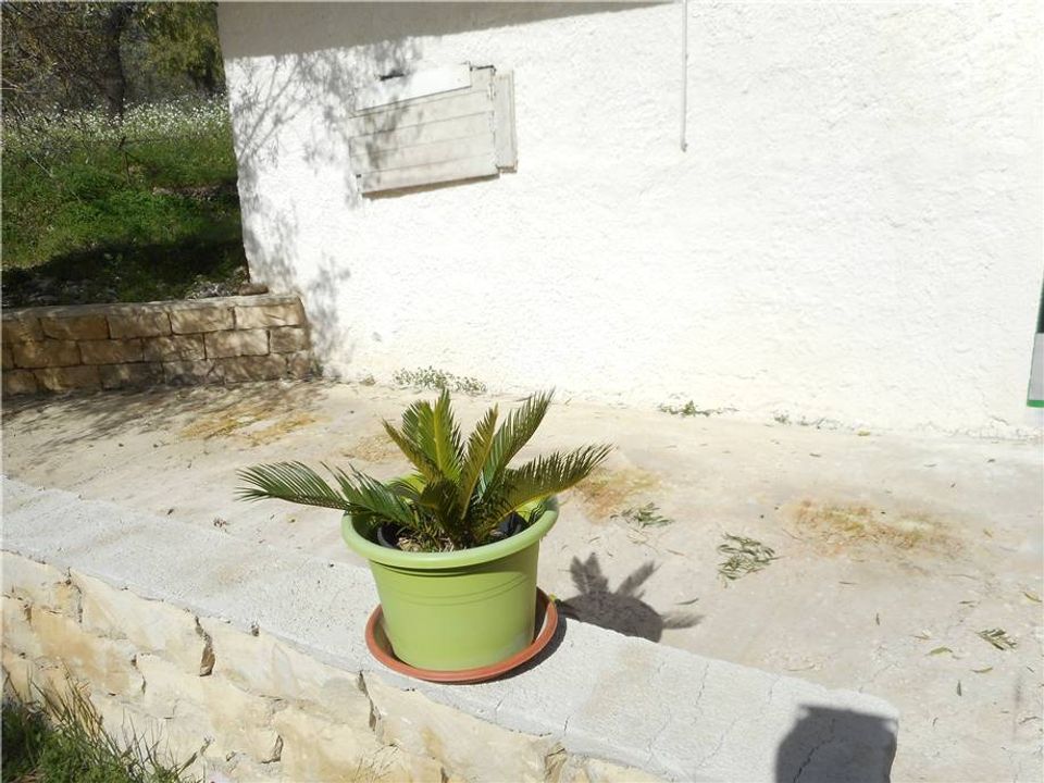 Helårsgrund i Noto, Siracusa - foto 5