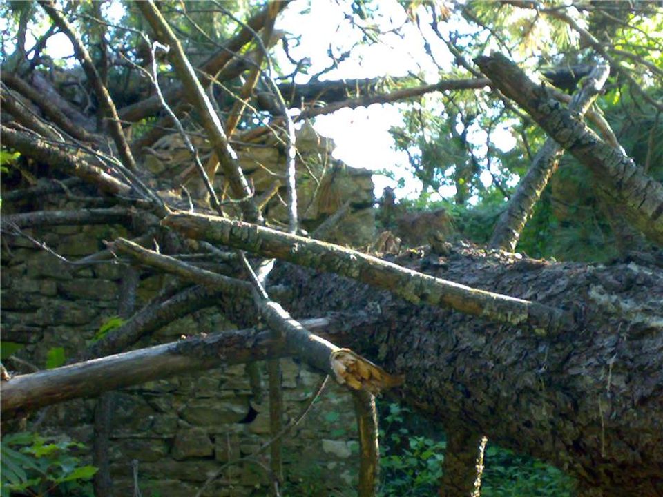 Masia a Bajardo, Imperia - foto 5