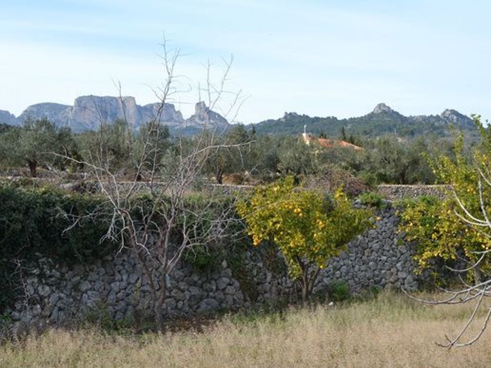 Terra a Beniarda, Alicante - foto 3
