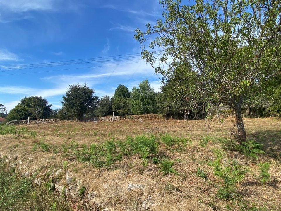 Ruin i Paredes de Coura, Viana do Castelo - bilde 5