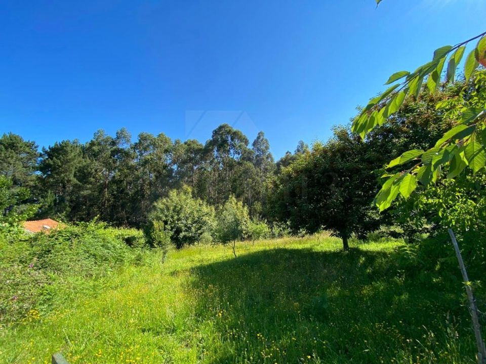 Helårsgrund i Paredes de Coura, Viana do Castelo - foto 3