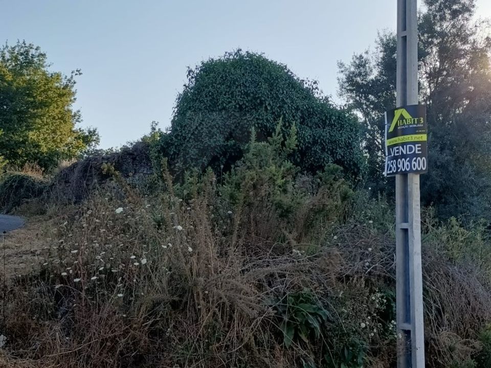 Helårsgrund i Ponte de Lima, Viana do Castelo - foto 4