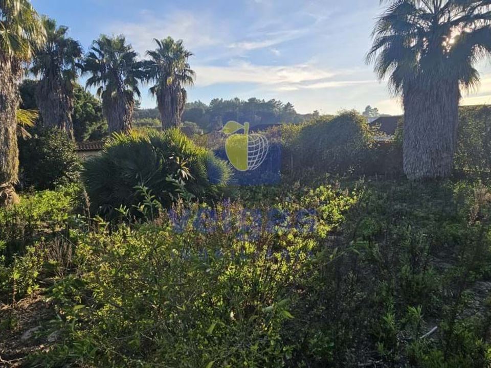 Villa i Cartaxo, Santarem - bilde 4