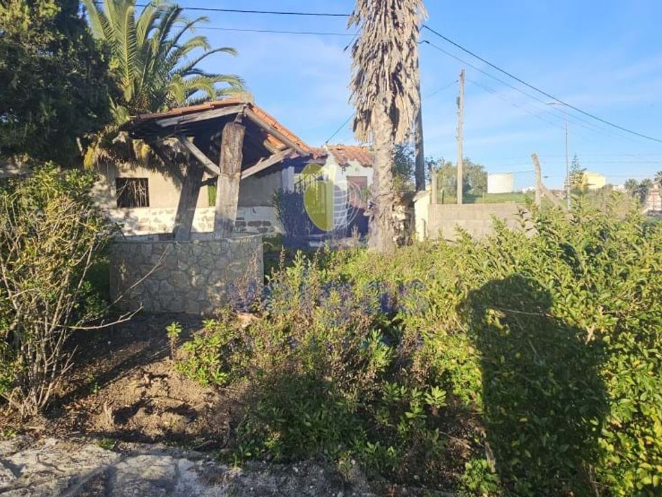 Villa i Cartaxo, Santarem - bilde 5