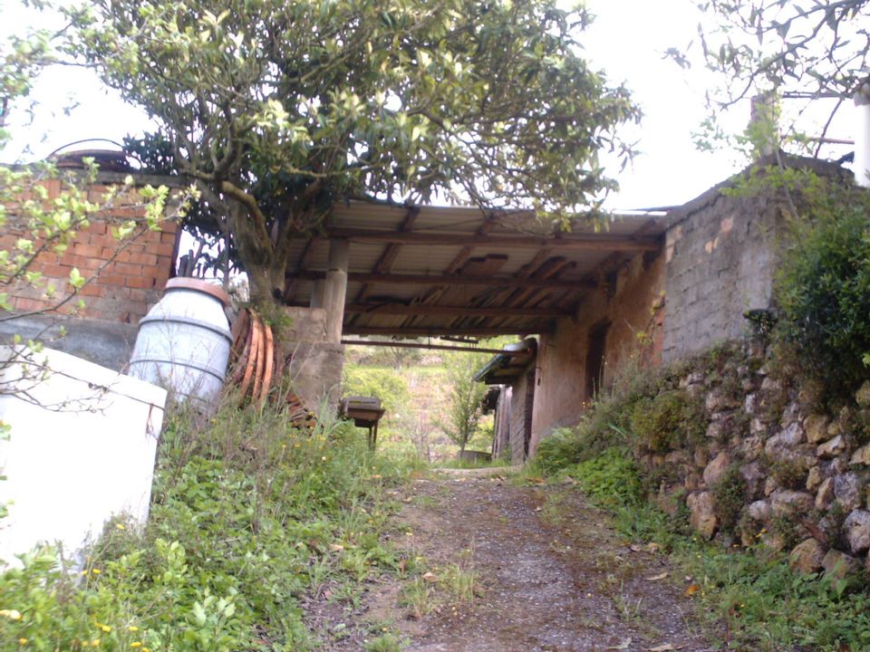 Villa i Monte Argentario, Grosseto - foto 1
