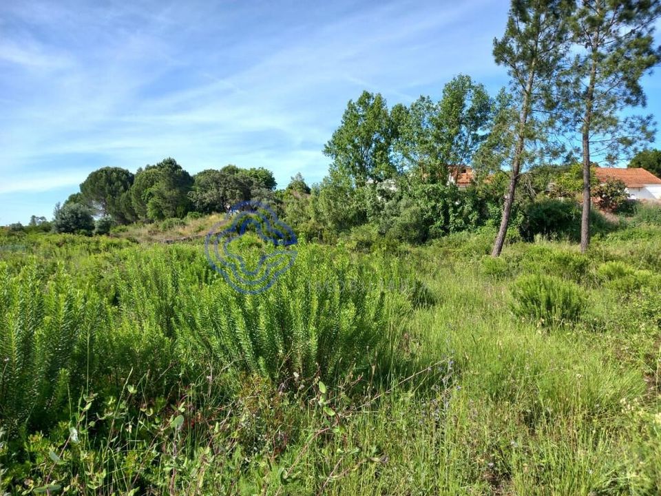 Helårsgrund i Tomar, Santarem - foto 5