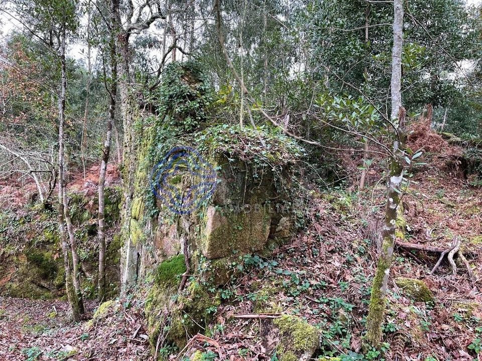 Byhus i Caminha, Viana do Castelo - foto 2