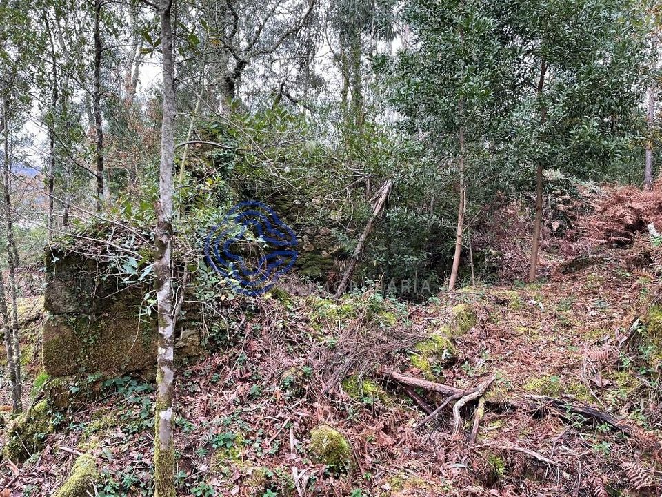 Byhus i Caminha, Viana do Castelo - foto 3