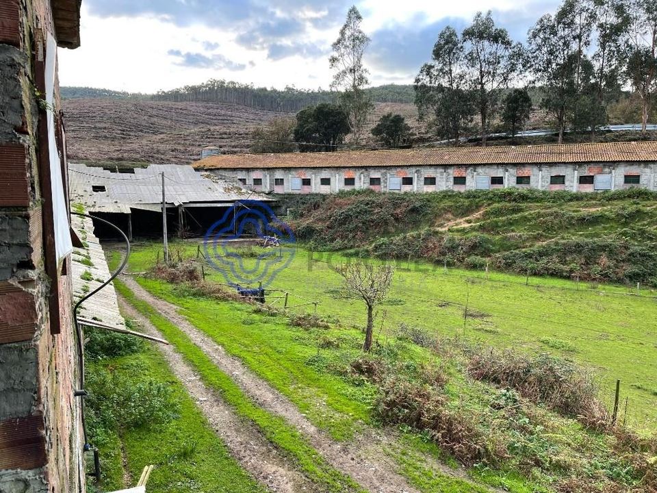 Farm i Caminha, Viana do Castelo - foto 5