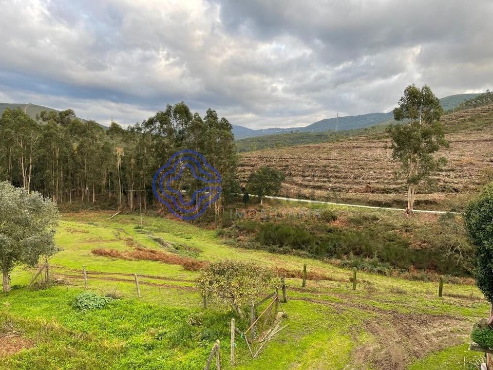 Farm i Caminha, Viana do Castelo - foto 3