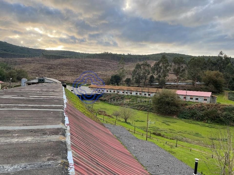 Farm i Caminha, Viana do Castelo - foto 4