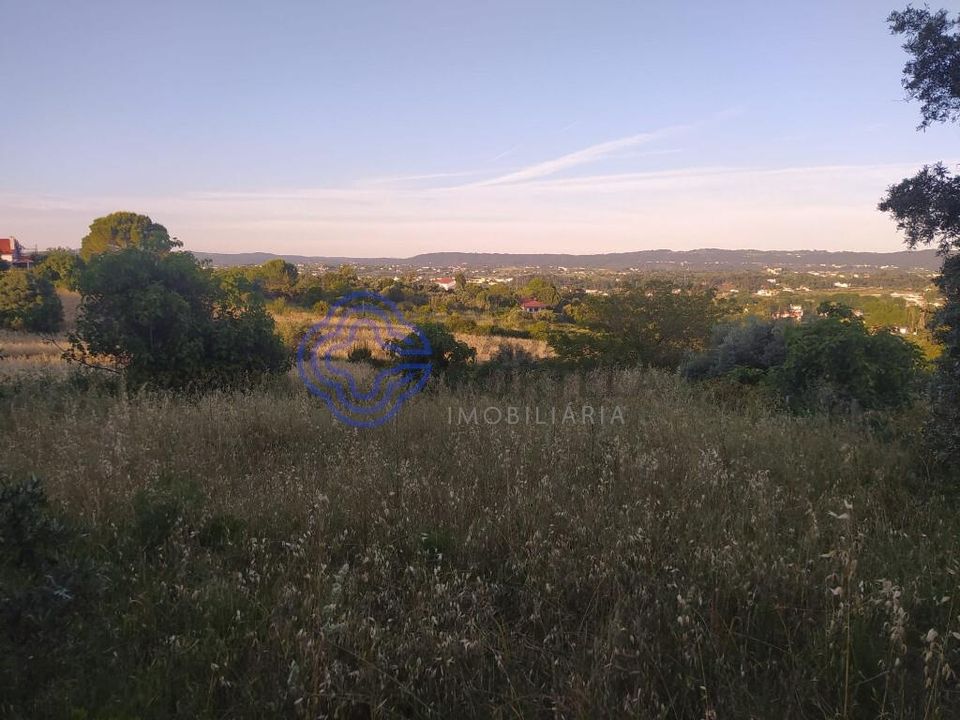 Helårsgrund i Tomar, Santarem - foto 3