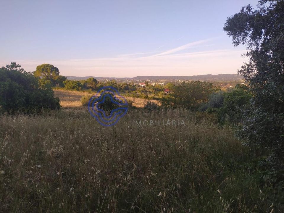 Helårsgrund i Tomar, Santarem - foto 4