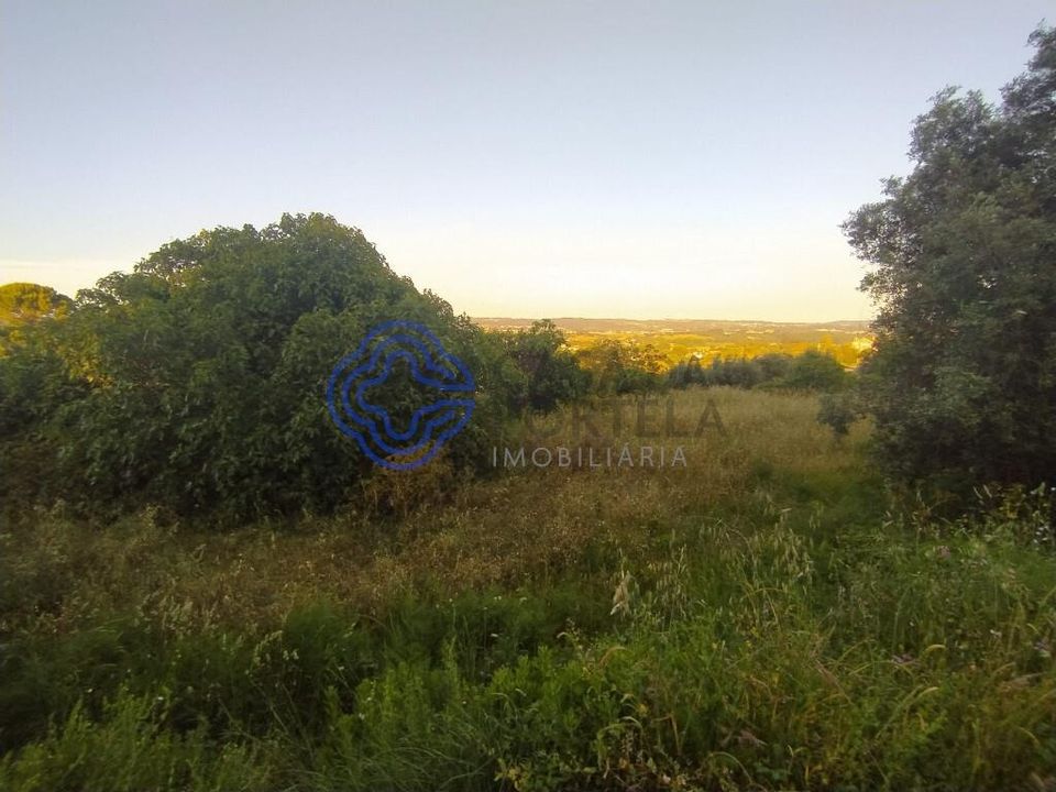 Helårsgrund i Tomar, Santarem - foto 5