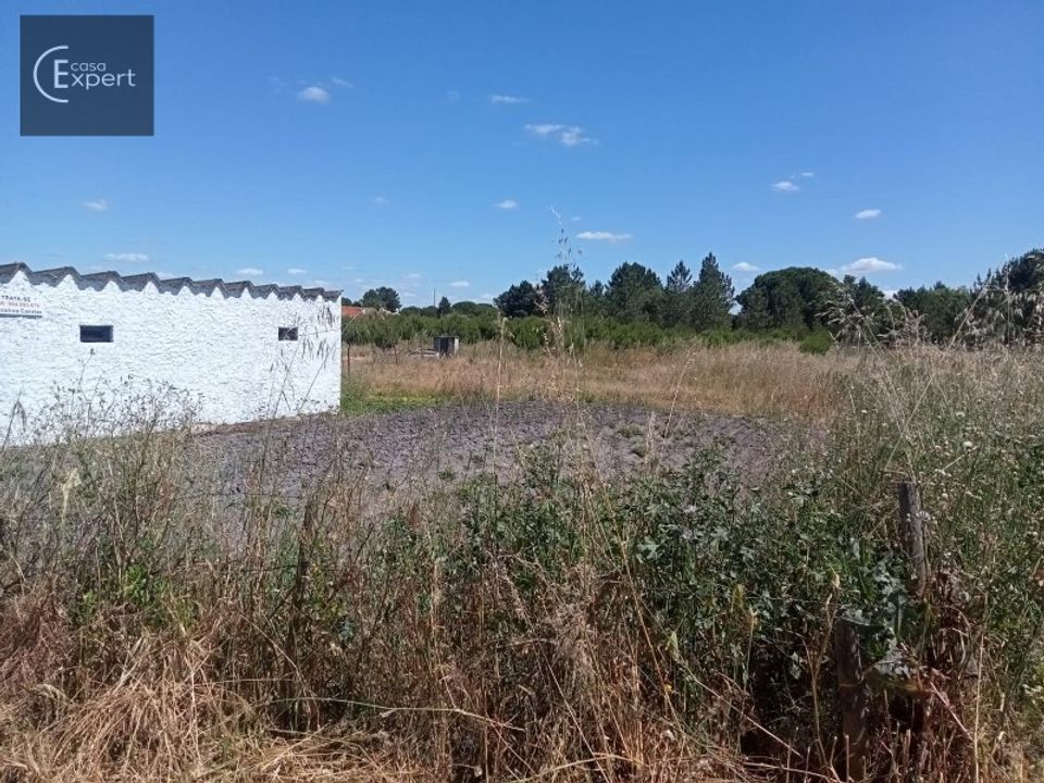 Farm i Torrao, Setubal - foto 1