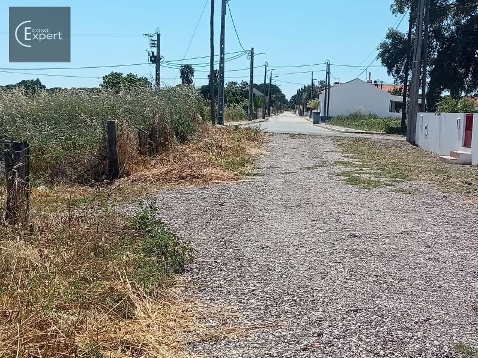 Farm i Torrao, Setubal - foto 2