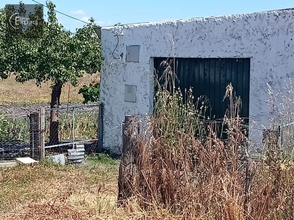 Farm i Torrao, Setubal - foto 3