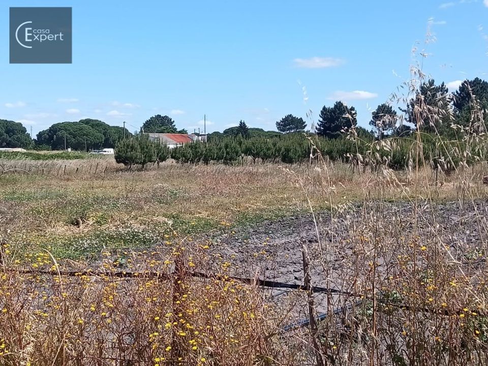 Farm i Torrao, Setubal - foto 5