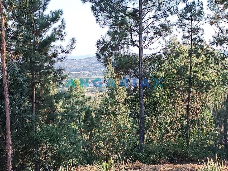 Helårsgrund i Leiria, Leiria - foto 3