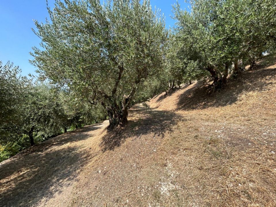 Helårsgrund i Tregnago, Verona - foto 5