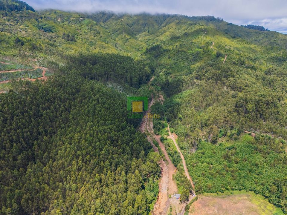 Helårsgrund i Santa Cruz, Madeira - foto 1