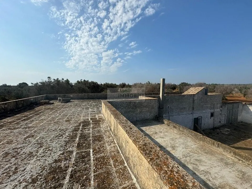 Gård i Carovigno, Brindisi - bilde 2
