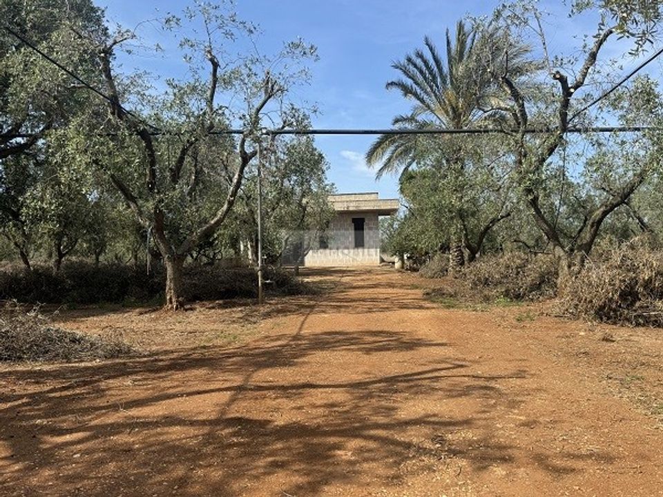 Villa i Carovigno, Brindisi - foto 2