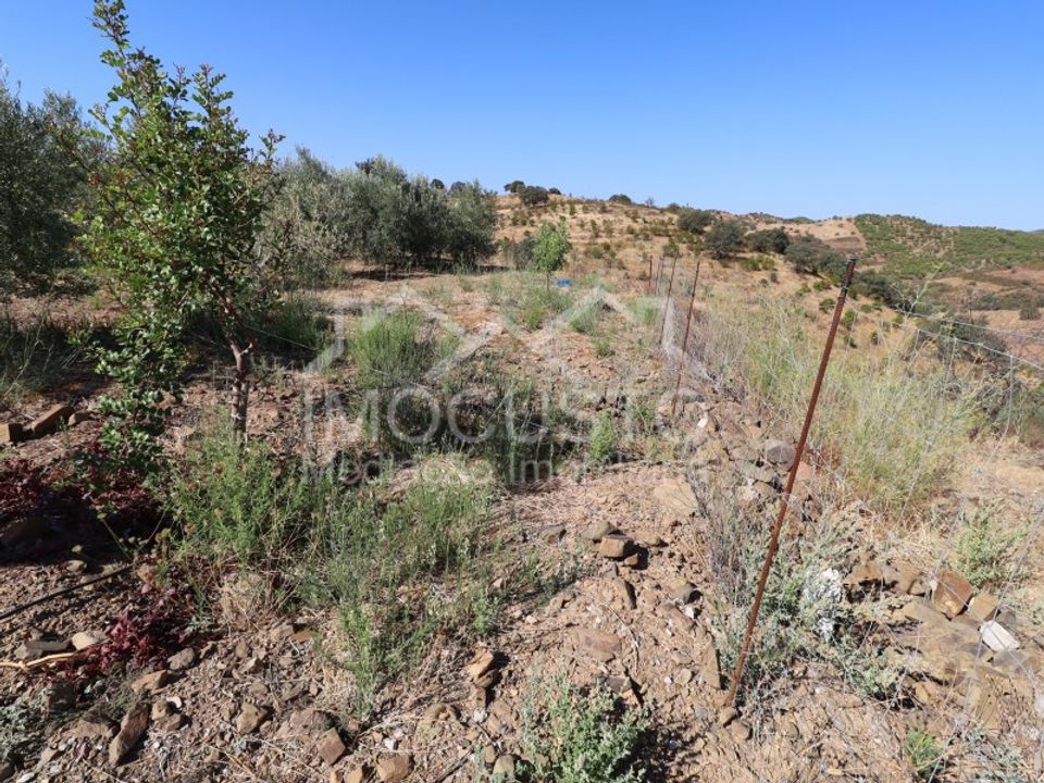 Terra a Odeleite, Faro - foto 4