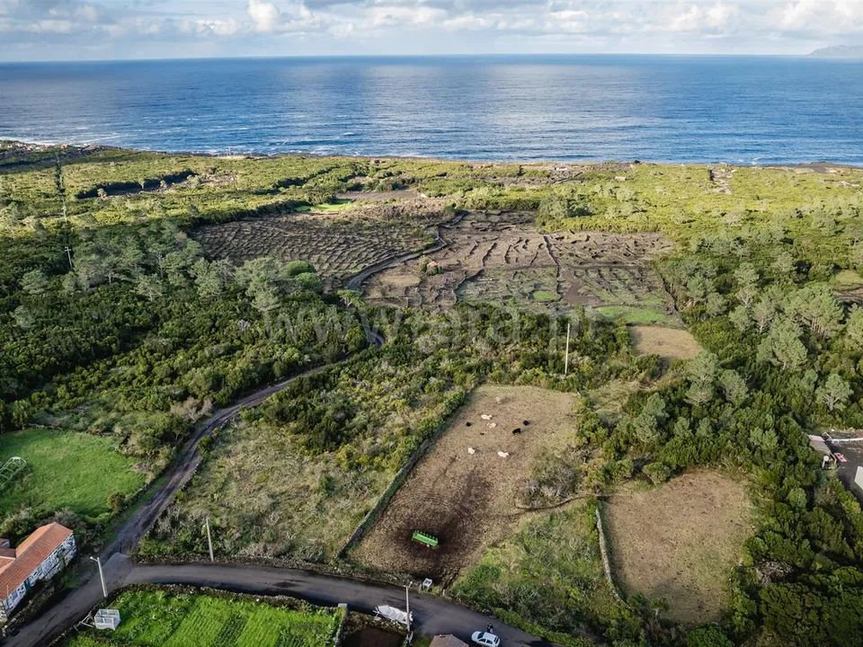 Helårsgrund i Sao Roque do Pico, Pico - foto 2