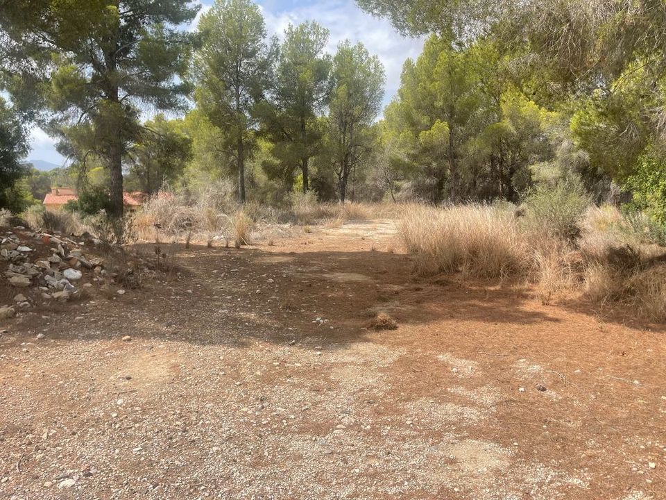 Helårsgrund i Altea, Alicante - foto 2