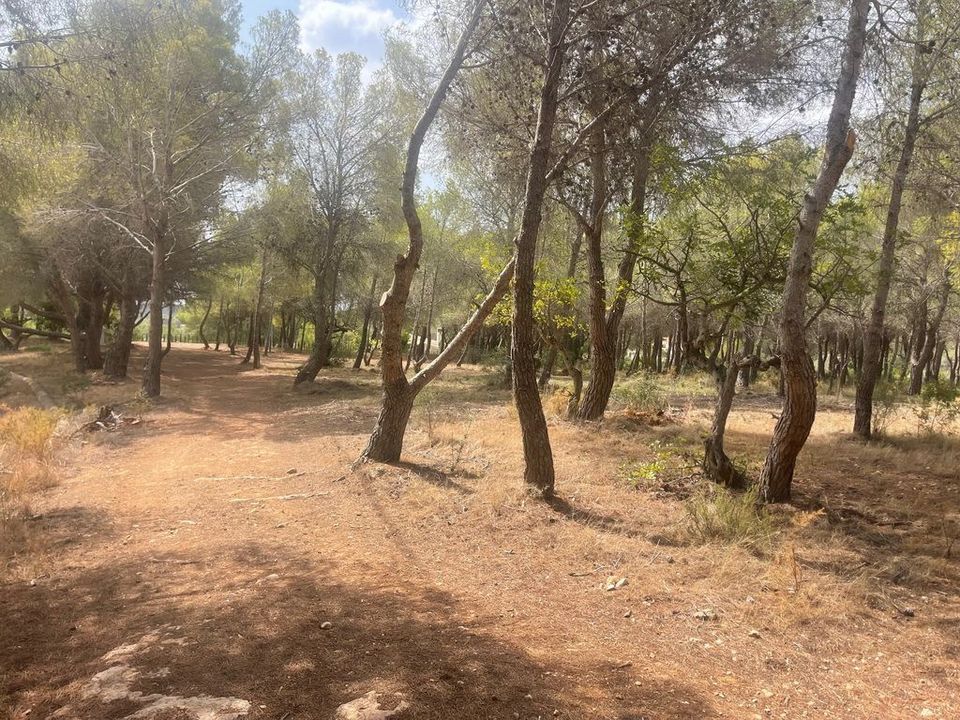 Helårsgrund i Altea, Alicante - foto 4